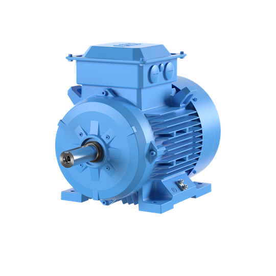 M2BAX IE3 Asenkron Motor 22 kW 1500 d/dk Ayak Bağlantılı