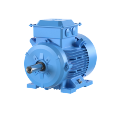 M2BAX IE3 Asenkron Motor 22 kW 1500 d/dk Ayak Bağlantılı